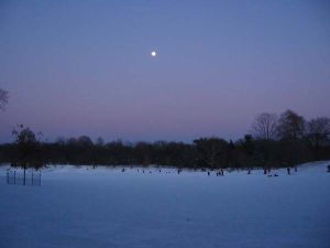 stacey duda ATT01808-tn.jpg